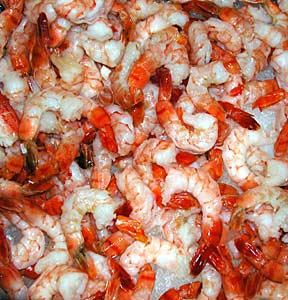 Big shrimp