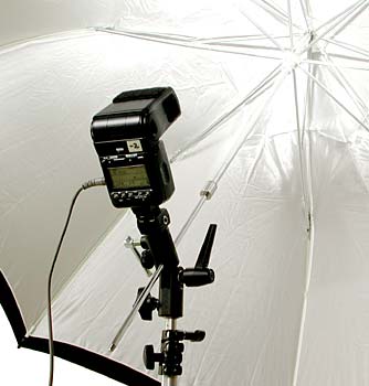 Nikon SB Flash on an AS-10 and Bogen Swivel Umbrella Adapter