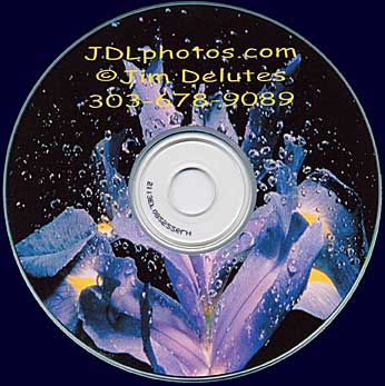 Example of Client CD