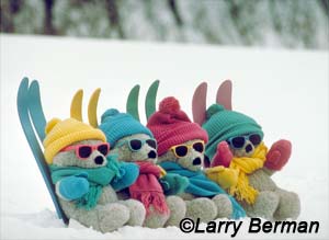Teddy bears skiing by Larry Berman