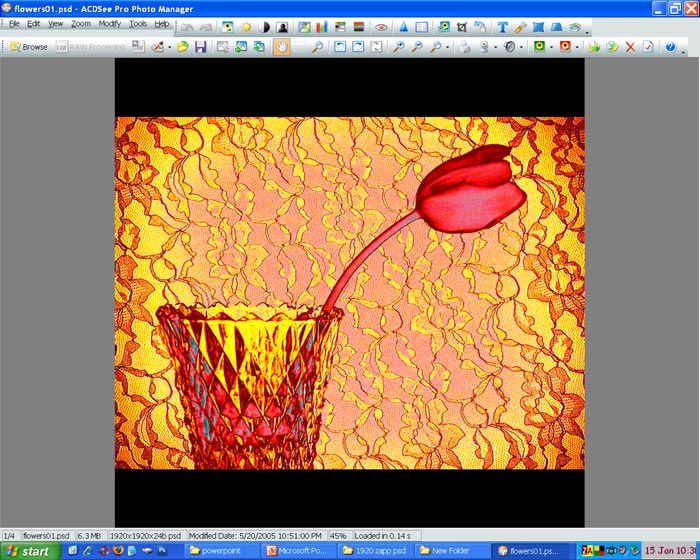ACDSee screen capture