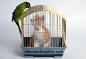 Cat in the Bird Cage