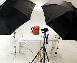 Dual Umbrella Flash set up